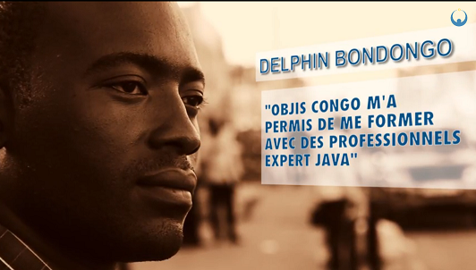 delphin-bondongo-developpeur-java-web-mobile-forme-par-objis-congo