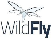 logo-wildfly.png