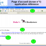 tutoriel-application--web-reference-version-servlets-ecran-1-accueilbis