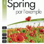IMG/gif/livre-formation-spring-exemple.gif