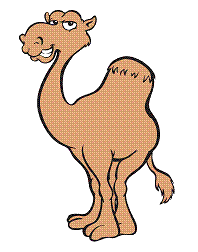 logo-camel-anime.gif