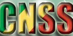 IMG/png/logo-cnss-congo.png