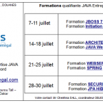objis-senegal-formations-qualifiantes-juillet-2014-Dakar-mini2