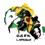 IMG/png/logo-oser-l-afrique.png