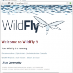 tutoriel-installation-wildfly-9-demarrage-accueil-8080