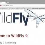tutoriel-wildfly-securite-https-certificat-keytool-12