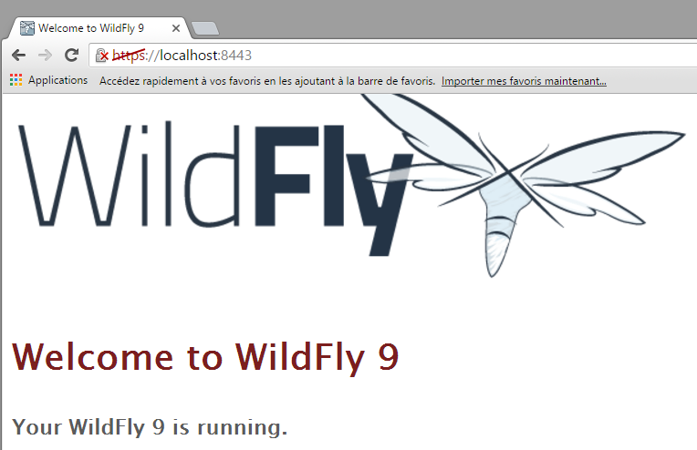 tutoriel-wildfly-securite-https-certificat-keytool-12